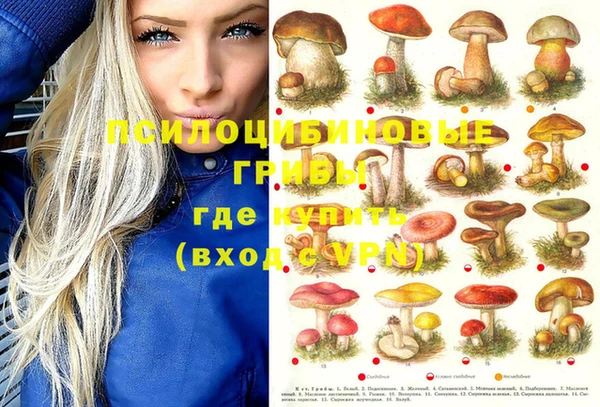 тгк Алексин