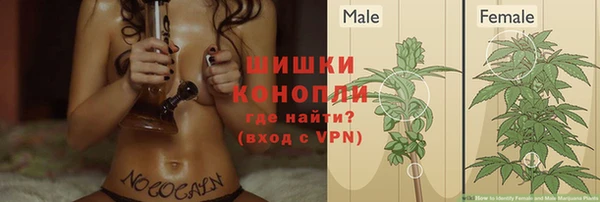 ПСИЛОЦИБИНОВЫЕ ГРИБЫ Зерноград