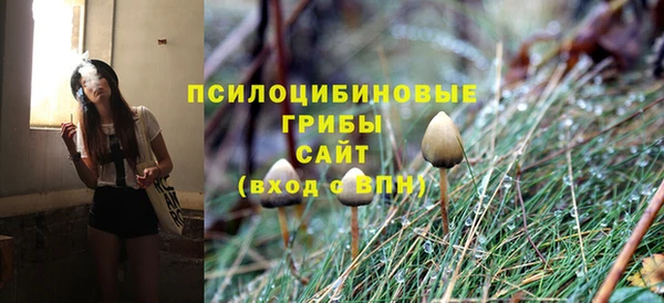 тгк Алексин