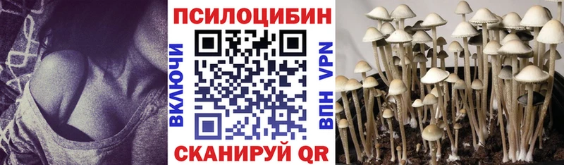 гидра tor  закладка  Апатиты  Галлюциногенные грибы мицелий 