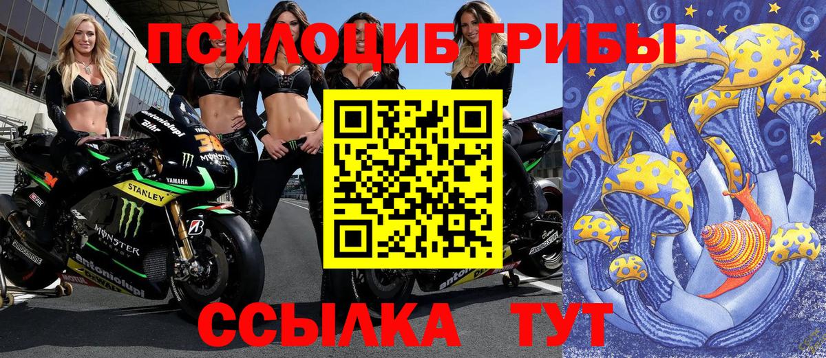 Псилоцибиновые грибы Cubensis  Псилоцибиновые грибы мухоморы  Вход с VPN  Апатиты 