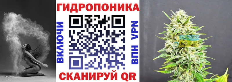 OMG Апатиты Каннабис планчик продажа наркотиков
